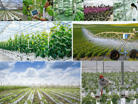 Tái cơ cấu ngành nông nghiệp