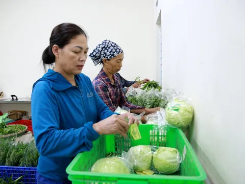 Vĩnh Phúc: Phát triển nền nông nghiệp bền vững, thân thiện với môi trường