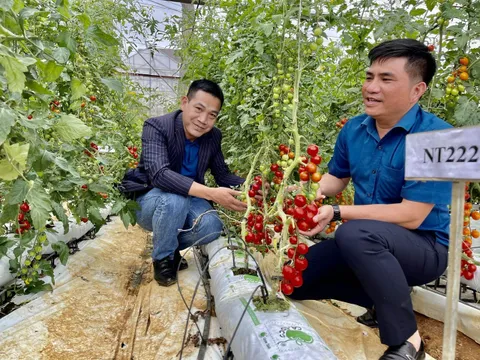 Công tác triển khai quản lý hoạt động kinh doanh du lịch canh nông trên địa bàn tỉnh Lâm Đồng