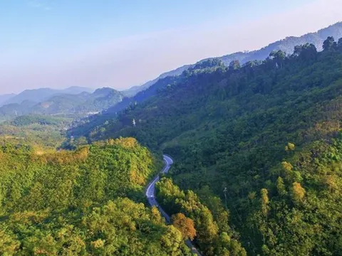 Thành công đầu tiên: Việt Nam ghi tên trên bản đồ thị trường tín chỉ Carbon