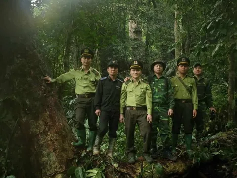 Tuyên Quang: Na Hang quản lý, bảo vệ rừng