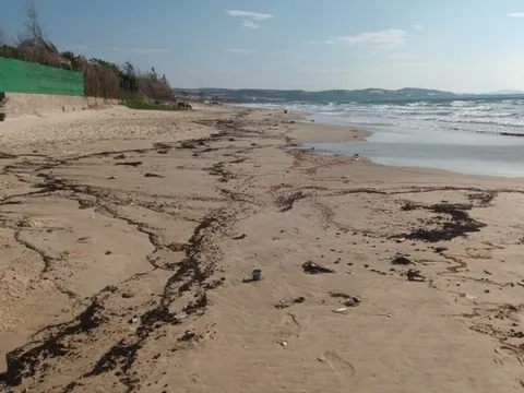 Bình Thuận: Dầu vón cục trôi dạt vào biển Mũi Né ảnh hưởng 4km bờ biển