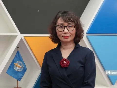 WHO nêu lý do cần hạn chế thực phẩm siêu chế biến